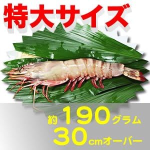 Amazon Co Jp 特大 スーパー ジャンボ有頭シータイガー海老 約190g 尾 8尾 ワンフローズン 食品 飲料 お酒