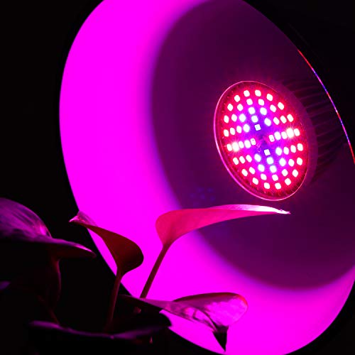 Full Spectrum E26 LED Grow Light Bulb, 60W Grow Plant Light for