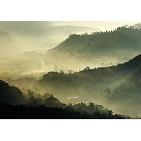 Morning Sunshine with Fog - Removable Wall Mural | Self-Adhesive Large Wallpaper - 66x96 inches