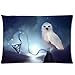 Harry Potter Custom Zippered Pillow Cases 20x26 (Two sides)