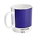 Whitbread Wilkinson Pantone Bone China Mug, Violet