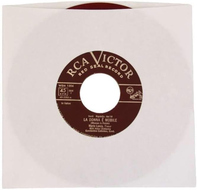 (100) Archival Quality Acid-Free Heavyweight Paper Inner Sleeves for 7" Vinyl Records #07IW: Electronics