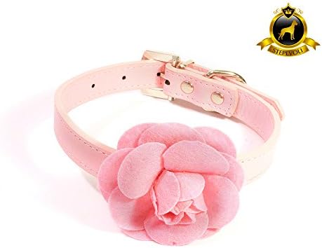 Stepevoli Dog Collar with Blooming Rose - Comes in Pink Colour and C2 Size