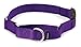PetSafe Martingale Dog Collar with Quick-Snap Buckle, Durable and Nylon Material - Medium, 1 Inch, Deep Purple