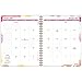AT-A-GLANCE Monthly Planner / Appointment Book 2017, 6-7/8 x 8-3/4