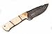 SharpWorld Beautiful Damascus Knife Made of Remarkable Damascus Steel and Exotic Handle -Best Hunting Knife with Sheath TJ102 (Camel Bone)
