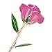GRECEDAY Love Forever Long Stem Gold Foil Trim Red Rose Flower with Transparent Stand, Best Gift for Valentines Day, Mothers Day, Anniversary, Birthday Gift, Treating Yourself, Galentine's Day (Pink)
