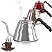 Pour Over Coffee Kettle with Thermometer-Flow Gooseneck Tea Kettles-Brew Barista-Standard Hand Drip Coffee Suitable all Stovetops and Induction, BPA Free,Father's Day Gift (Silver 34oz)