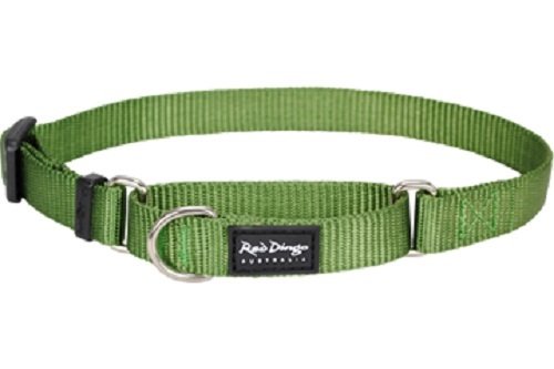 Red Dingo Martingale Classic 15mm Choke Collar, Green, Small/Medium