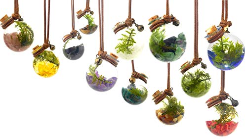 Orbling Onyx - Living, Miniature Aquarium Necklace - Terrarium Ecosphere Pendant | Live Plant Jewelry