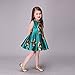 Kidscool Little Girls Sleeveless Yellow Rose Print Green Princess Dress
