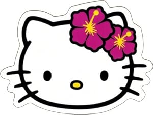 amazoncom hello kitty face shot with hawaiian hibiscus flowers