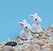 Smilesky Miniature Bunny Figure Animal Rabbit Toys Fairy Garden Party Decorations White 0.8 Inches 20 PCS