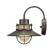 Globe Electric Liam 1-Light Outdoor Indoor Wall Sconce, Bronze, Frosted White Glass Shade,44097, Bulb Not Included