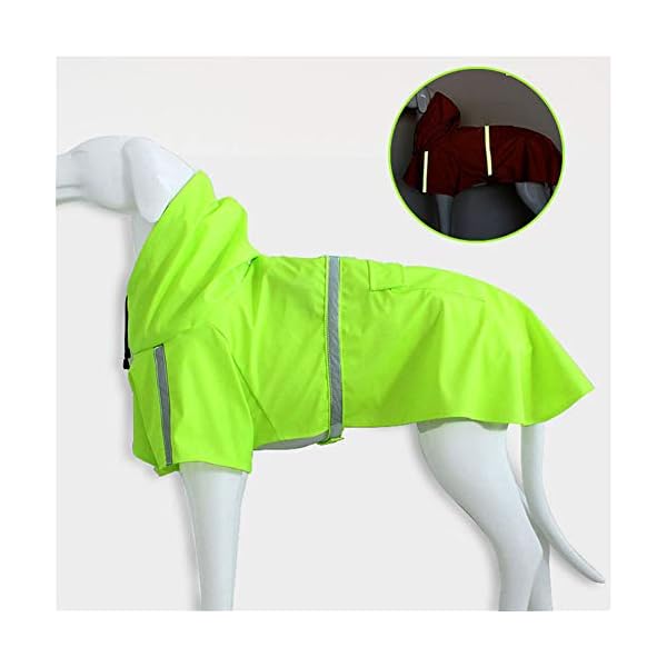 PPING Giacca Impermeabile Cane Cappotto Impermeabile per Cani con Cappuccio Cappottini per Cani di Media Taglia…