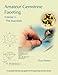 Amateur Gemstone Faceting Volume 1: The Essentials by 