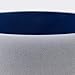 TOPFUND Indigo A Note Crystal Singing Bowl 8 inch Third Eye Chakra with Heavy Duty Carrying Case and Suede Mallet