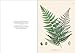 Alexander von Humboldt: The Botanical Exploration of the Americas