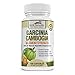 80% HCA Pure Garcinia Cambogia Premium Extract - Best & Highest Potency - All Natural & Safe - 180 Pills - Order Risk Free!