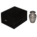 Liliane Memorials Silver Mini Keepsake Urn Miniature Funeral Cremation Urn fits Small Amount of Ashes Corinthian Silver Model 3 inches Tall