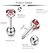 JOERICA 6 Pairs 16G Stainless Steel Ear Piercing Stud Earrings for Men Women CZ Earrings Heart 4MM