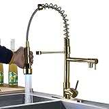 Rozin LED Light Pull Down Spray Kitchen Mixer Tap Single Hole Swivel Spout Sink Faucet with 8 Inch Holes Deck Plate Gold Polished