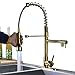 Rozin LED Light Pull Down Spray Kitchen Mixer Tap Single Hole Swivel Spout Sink Faucet with 8 Inch Holes Deck Plate Gold Polished