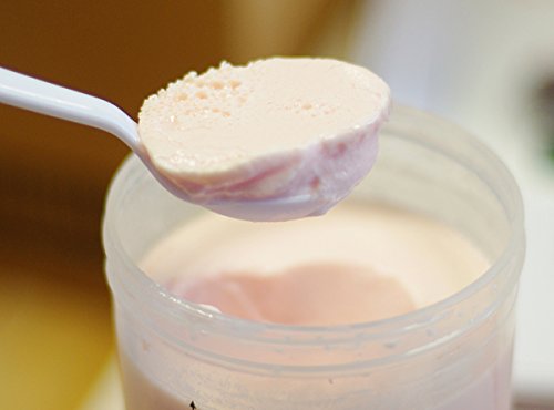 Yogurt Maker, Red