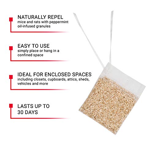 Victor M805 ScentAway Natural Rodent Repeller Peppermint Oil Mouse