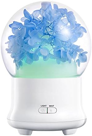 Bixshell Essential Diffuser, 100ml Aroma Essential Cool Mist Humidifier with Adjustable Mist Mode, Waterless Auto Shut-off and Eternal Flower LED Lights Changing for Home Office Baby (Sky Blue)