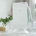 Avari Dual UV & Heat Premium Toothbrush Sanitizer, Antibacterial Germ Free Sterilizer for Toothbrush and Razor Hygiene, with Stand and Wall Mount, AC Adapter plus Toothpaste Holder - Pearl White