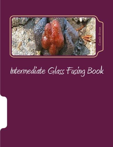 Intermediate Glass Fusing Book: Intermediate Glass Fusing Projects