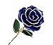Long Stem Blue Rose Flower With Thorns Dipped in 24k Gold and Last Forever, Love To Her Packing Box (Blue)