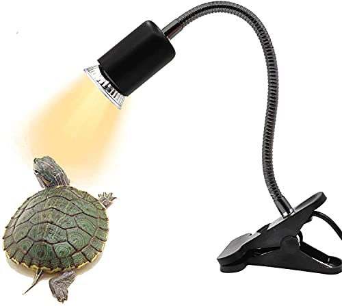 uvb heat lamp for tortoise