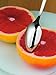 WMF Manaos/Bistro Grapefruit Spoon, Set of 4