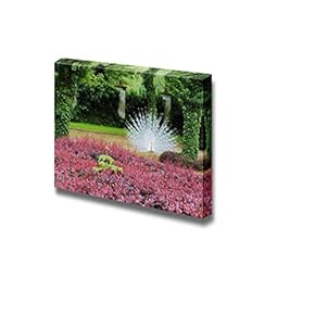 The White Peacock Spreading Its Tail - Canvas Wall Art Print