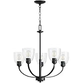 Quorum Lighting 6060-5-69 Reyes Chandelier, 5-Light 300 Total Watts, Textured Black