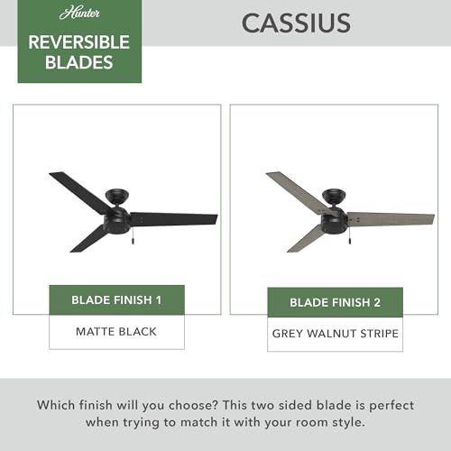 Hunter Cassius, Outdoor or Indoor, Ceiling Fan, 52 inch, Matte Black | No Light, Standard Mount, Pull Chain, 3 Blades, For Living Room, Patio, Porch, Garage, 59264