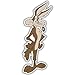 Wile E. Coyote Road runner Vynil Car Sticker Decal - Select Size