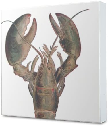 - LivingPlug Inlet Lobster 1904 Faceplate - Decorative Lobster 1904 Outlet Cover (Inlet Sold Separately)