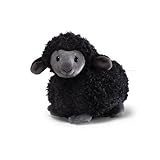 baa baa black sheep toy