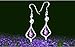 Purple Gemstone Gold Plate 925 Sterling Silver Drop Earrings for women (purple)