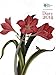 RHS Desk Diary 2014 by Royal Horticultural Society (2013) Paperback by