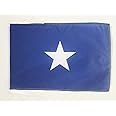 Republic of West Florida Flag 18'' x 12'' cords - Bonnie Blue SMALL flags 30 x 45cm - Banner 18x12 in - AZ FLAG