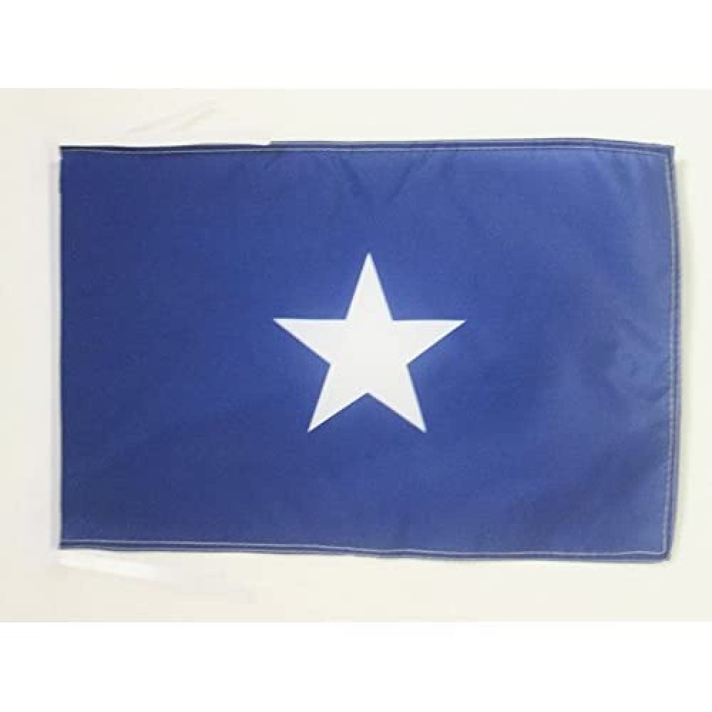 AZ FLAG - Republic of West Florida Flag - 18'' x 12'' - 100% Polyester Bonnie Blue Small Banner with Two Cords - Fade Resistant - Vivid Colors - 18x12 in - 45x30 Cm — image 1