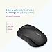 LINGYI 2.4GHz Wireless Mouse, Portable Mice with Nano USB Receiver, 3 Adjustable DPI Levels, Optical Mouse for Laptop, PC Computer, Macbook（Black）