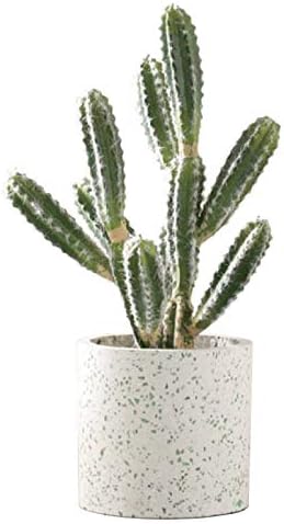 人工観葉植物 ユーフォルビアポット47 マルタ17w 1個 17 D フェイクグリーンコーディネート 激安通販専門店 インテリアグリーン 代引き不可