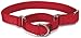 PetSafe Adjustable Martingale Collar - Only Tightens When Dogs Pull, Prevents Slipping Out - Helps with Strong Pullers, Increased Control - Alternative to Choke Collar - 3/8
