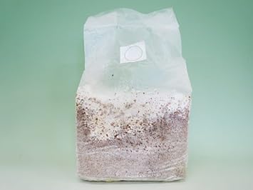 Amazon 菌糸ブロック E ブロック クワガタ幼虫用 月夜野きのこ園 餌 通販