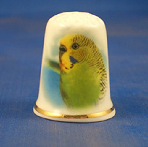 Porcelain China Thimble -- Green Budgerigar